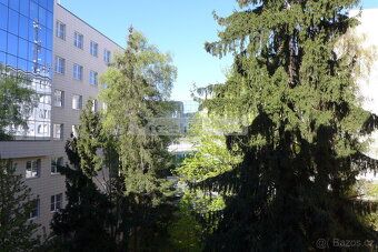 V Plzni na Slovanech (Guldenerova ul. – v těsném sousedství 
