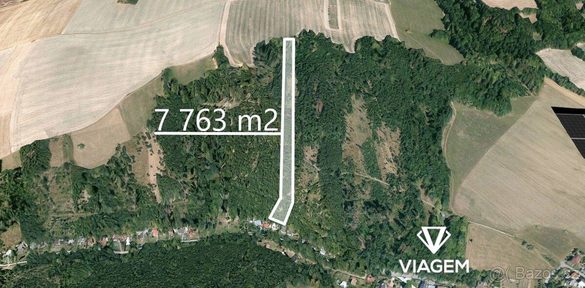 Nabízím k prodeji lesní pozemek v katastrálním území Benkovi