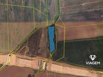 Exkluzivně Vám nabízíme lesní pozemek o výměře 4 275 m² v ka