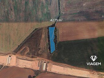 Exkluzivně Vám nabízíme lesní pozemek o výměře 4 275 m² v ka