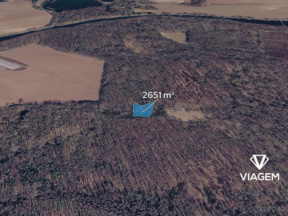 Nabízíme lesní pozemky v katastrálním území Přerov nad Labem