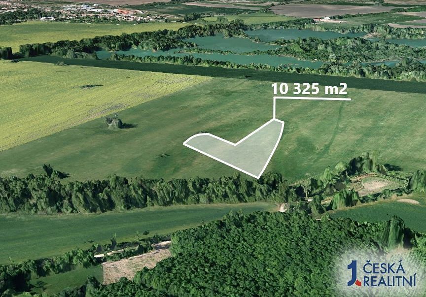 Hledáte ideální investici do budoucnosti? Co může být lepší 