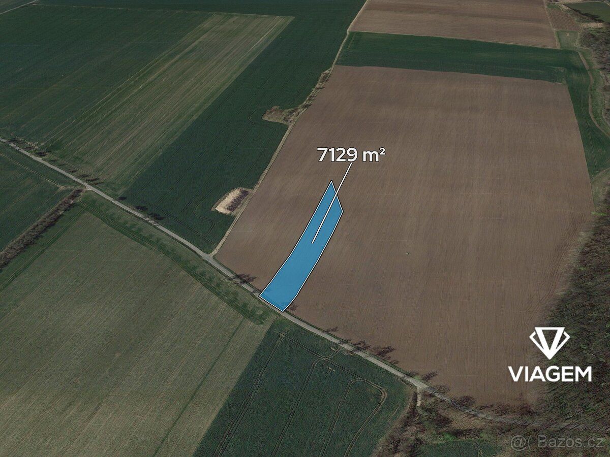 Hledáte investici, která vám přinese stabilní zisk a ochranu
