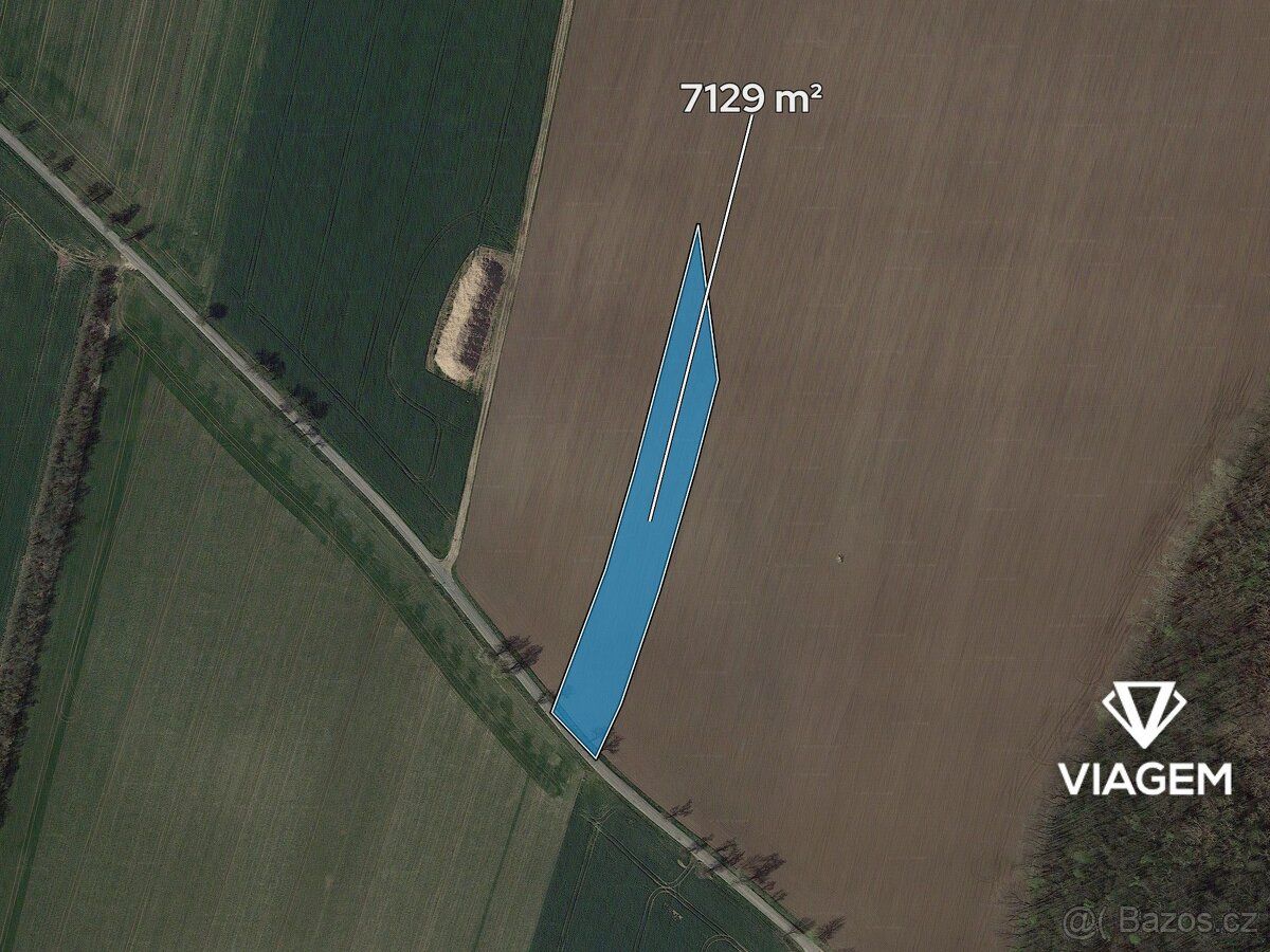 Hledáte investici, která vám přinese stabilní zisk a ochranu