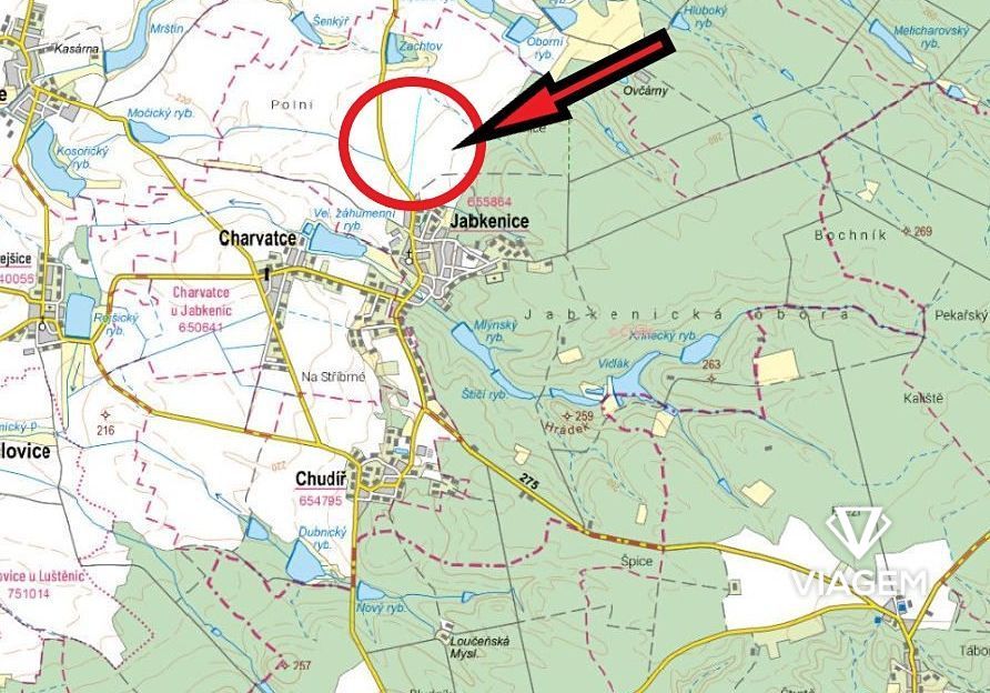 Hledáte ideální investici do budoucnosti? Co může být lepší 