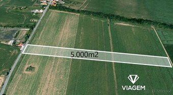 Investiční pozemek – 5 000 m² v Načeraticích u Znojma Parc. 