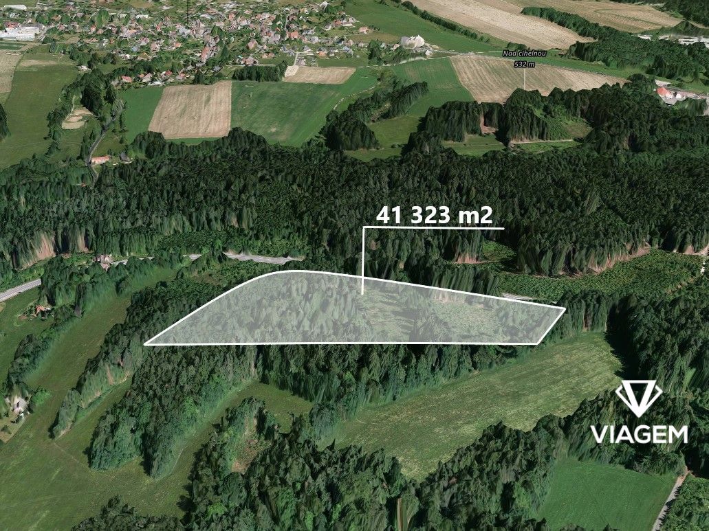 Láka Vás mít svůj vlastní les? Chcete mít 100% vlastnictví b