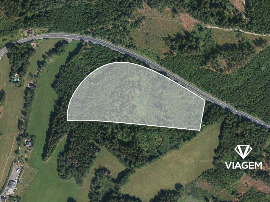 Láka Vás mít svůj vlastní les? Chcete mít 100% vlastnictví b