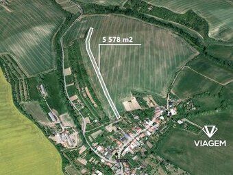 Hledáte ideální investici do budoucnosti? Co takhle pořízení