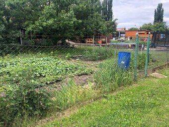 Láká Vás mít svůj vlastní les? Chcete mít 100% vlastnictví b