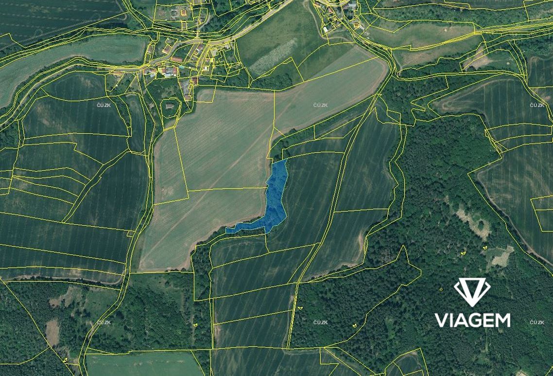 Láká Vás mít svůj vlastní les? Chcete mít 100% vlastnictví b