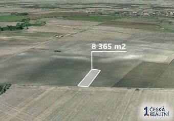 Hledáte ideální investici do budoucnosti? Chcete mít jistotu