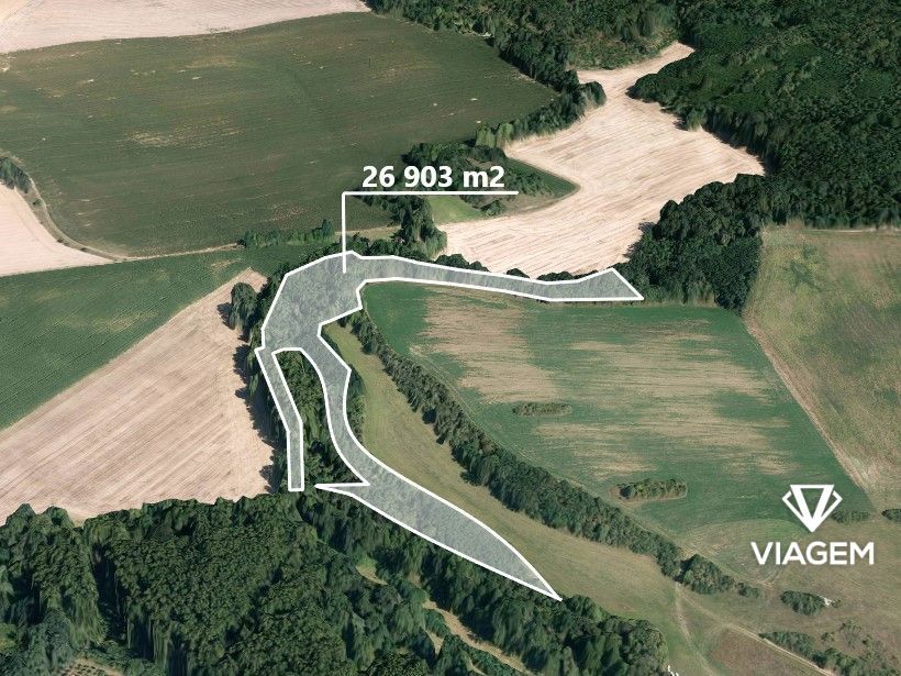 Láka Vás mít svůj vlastní les? Chcete mít 100% vlastnictví b