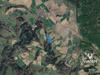 Nabízíme lesní pozemky v katastrálním území Palonín, okres Š