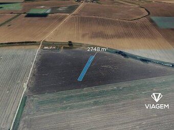 Hledáte investici, která se vyplatí? Chcete mít jistotu v dn