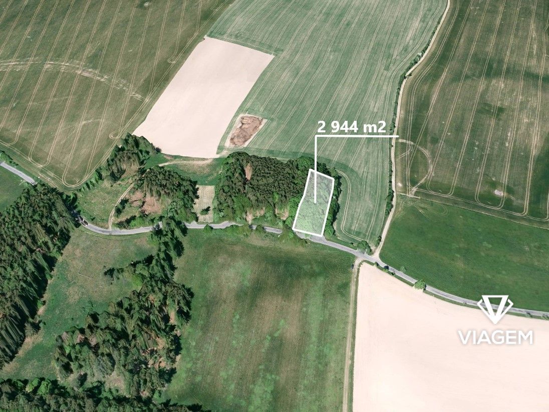 "Hledáte investici do lesního pozemku v okrese Prostějov? Ch