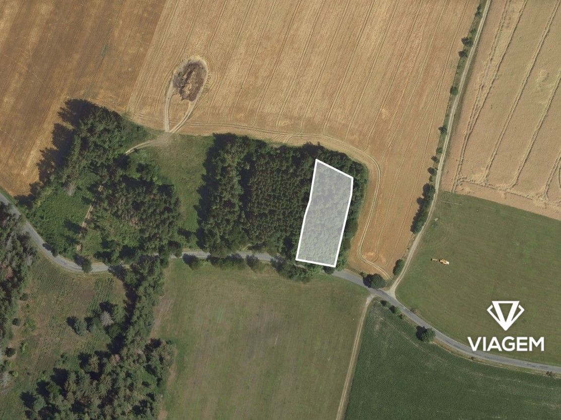 "Hledáte investici do lesního pozemku v okrese Prostějov? Ch