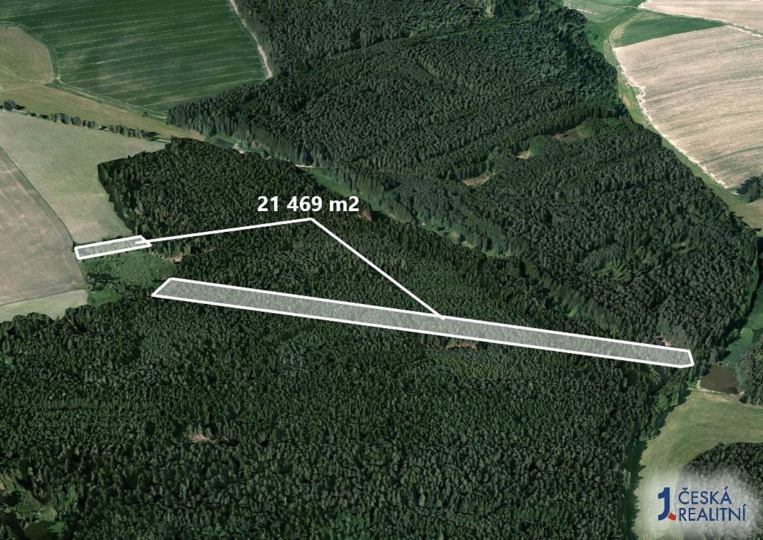 Láka Vás mít svůj vlastní les? Chcete mít 100% vlastnictví b