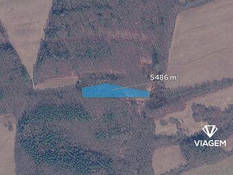 Nabízíme lesní pozemky v katastrálním území Březůvky, okres 