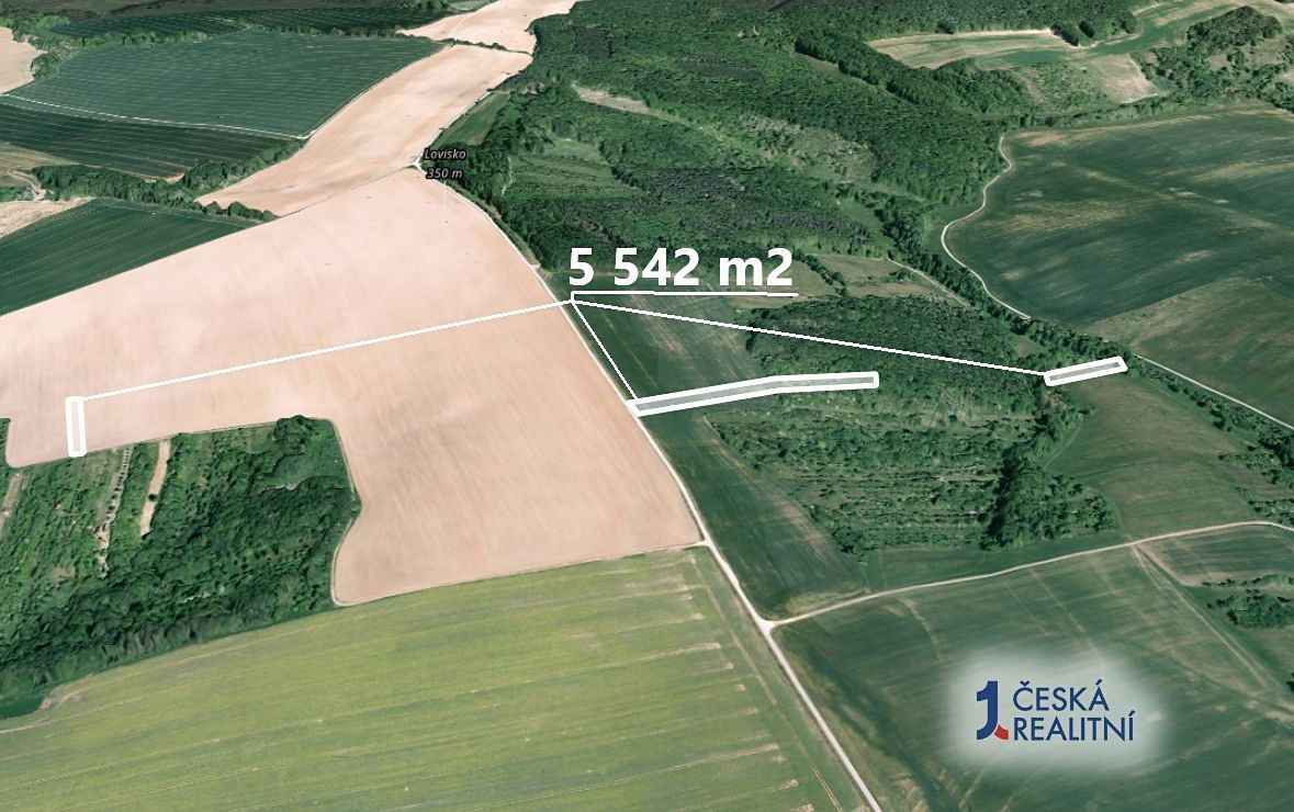 Hledáte investici, která vám zajistí stabilní příjem a ochra
