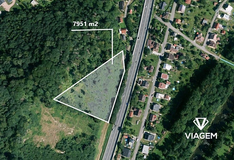 Hledáte svůj vlastní les? Chcete mít 100% vlastnictví bez sp