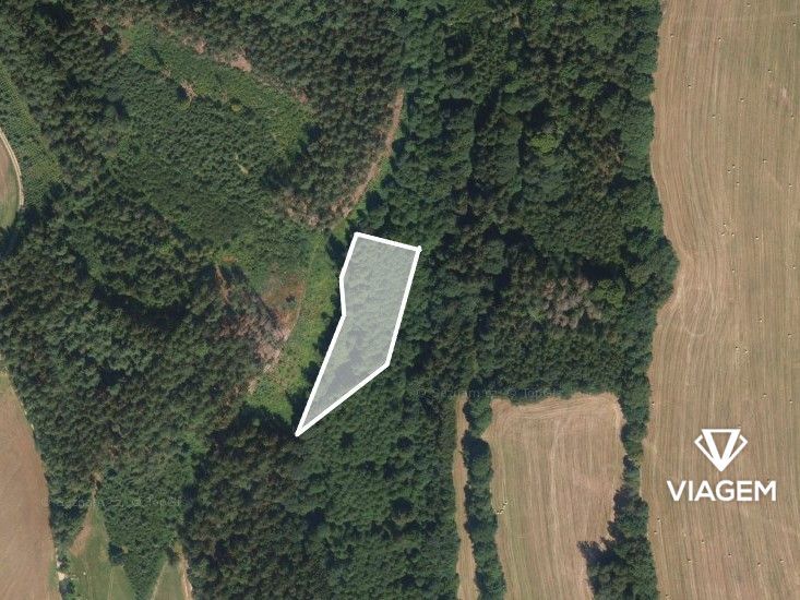 Hledáte investici do lesního pozemku v okrese Semily? Chcete