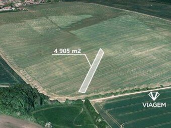 Hledáte investici, která vám zajistí stabilní příjem a ochra