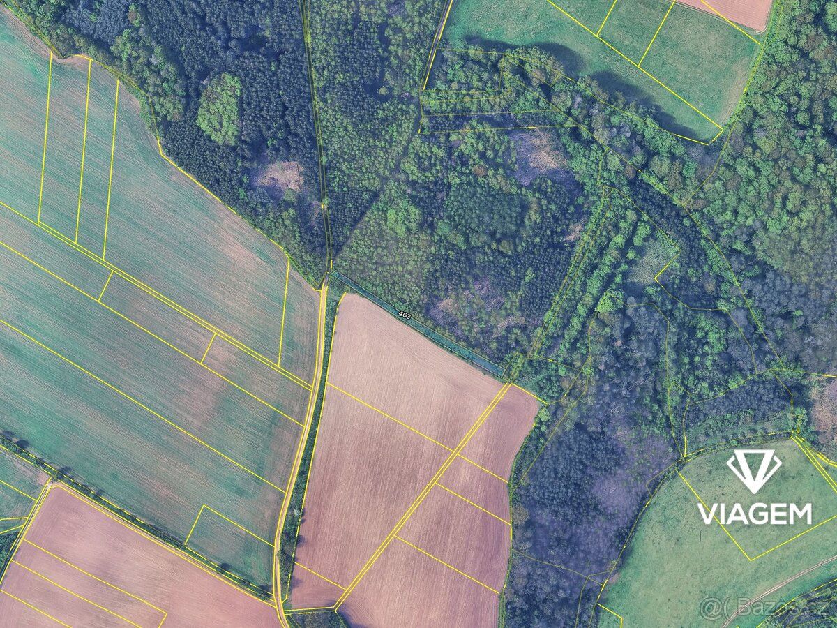 Láka Vás mít svůj vlastní les? Chcete mít 100% vlastnictví b