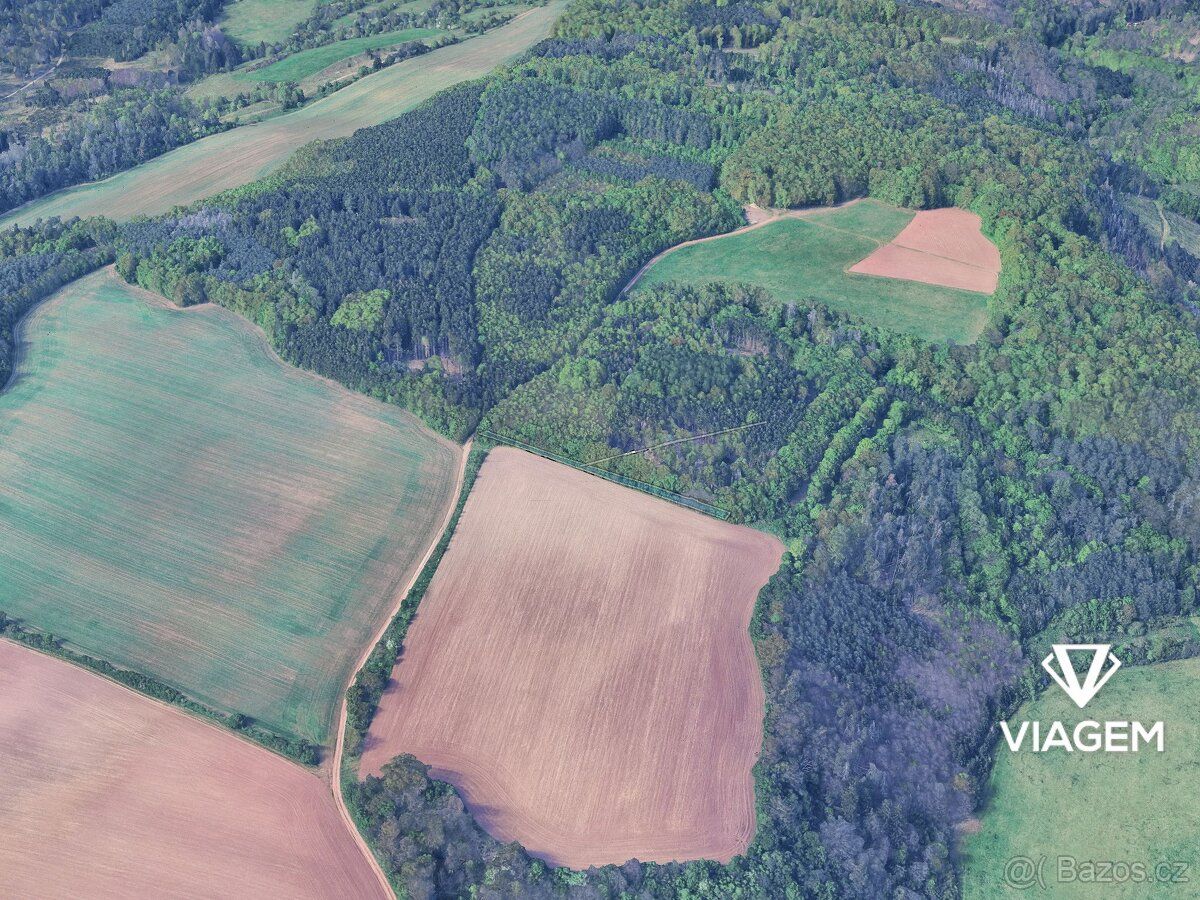 Láka Vás mít svůj vlastní les? Chcete mít 100% vlastnictví b