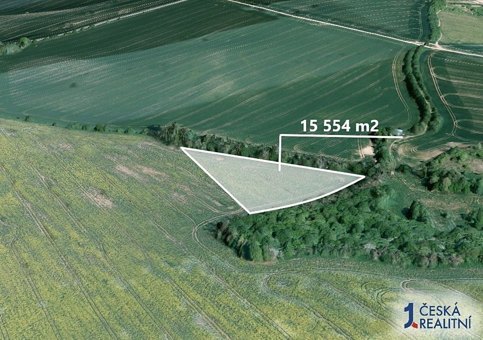 Hledáte investici, která se vyplatí? Chcete mít jistotu, že 