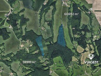 Nabízíme lesní pozemky v katastrálním území Lípa nad Dřevnic