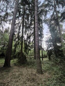 Hledáte ideální investici do budoucnosti? Co byste řekli na 