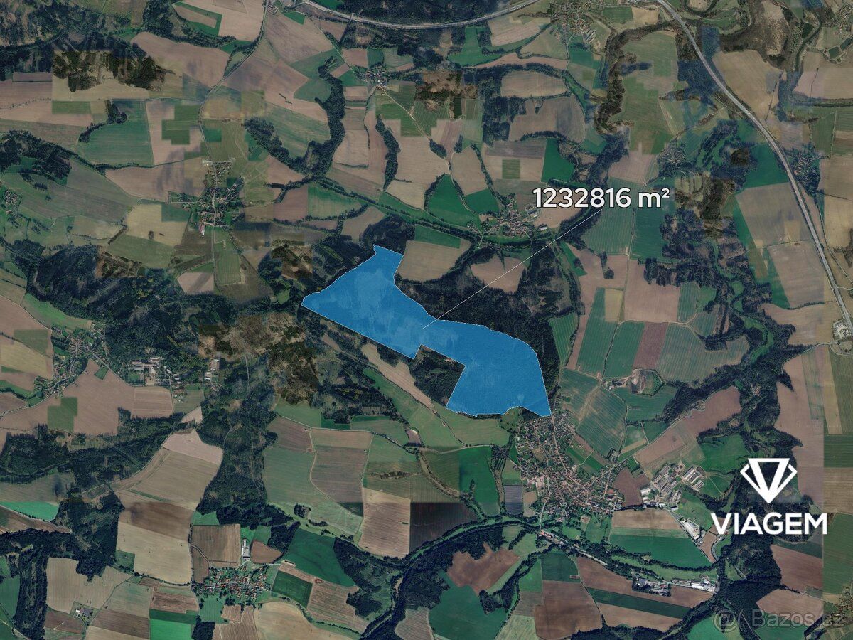 Nabízíme lesní pozemky v katastrálním území Trhový Štěpánov 