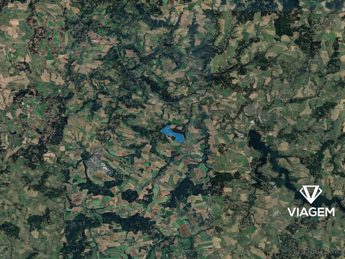 Nabízíme lesní pozemky v katastrálním území Trhový Štěpánov 