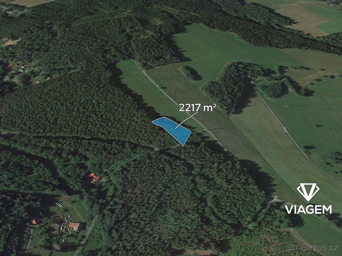 Nabízíme lesní pozemky v katastrálním území Loužnice, okres 