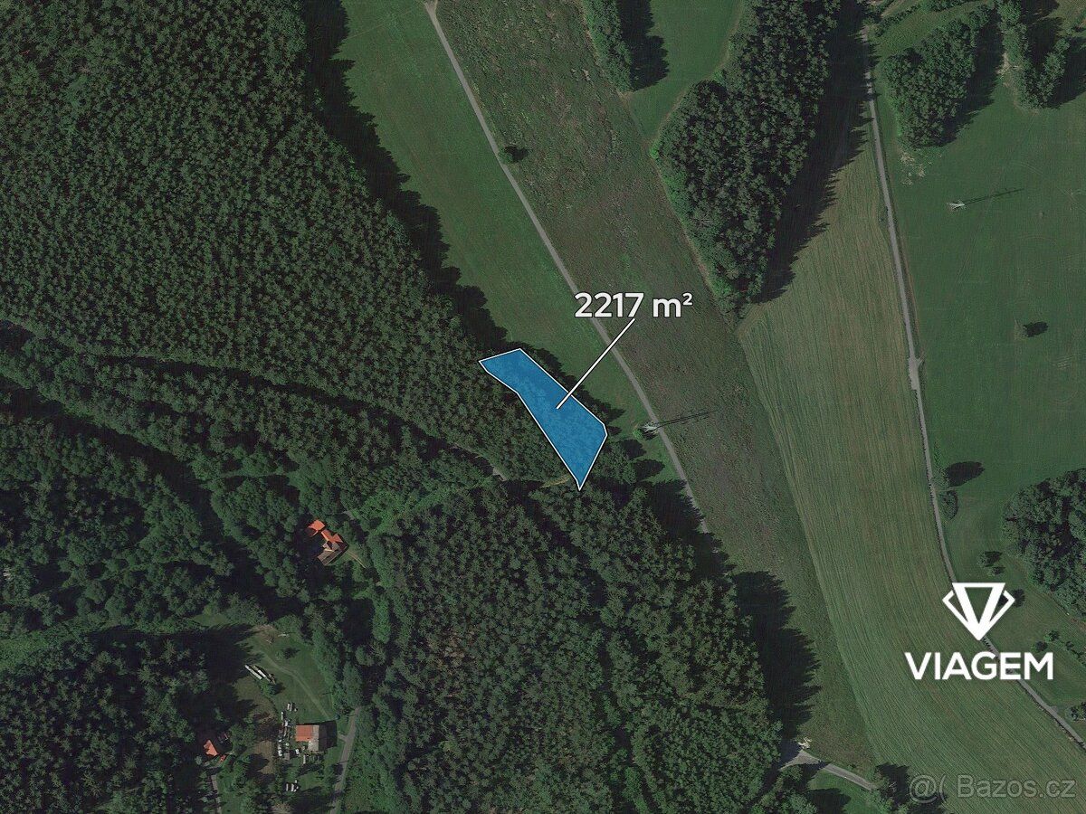 Nabízíme lesní pozemky v katastrálním území Loužnice, okres 
