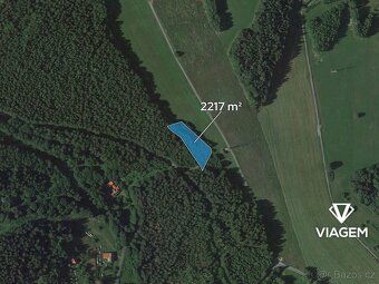 Nabízíme lesní pozemky v katastrálním území Loužnice, okres 