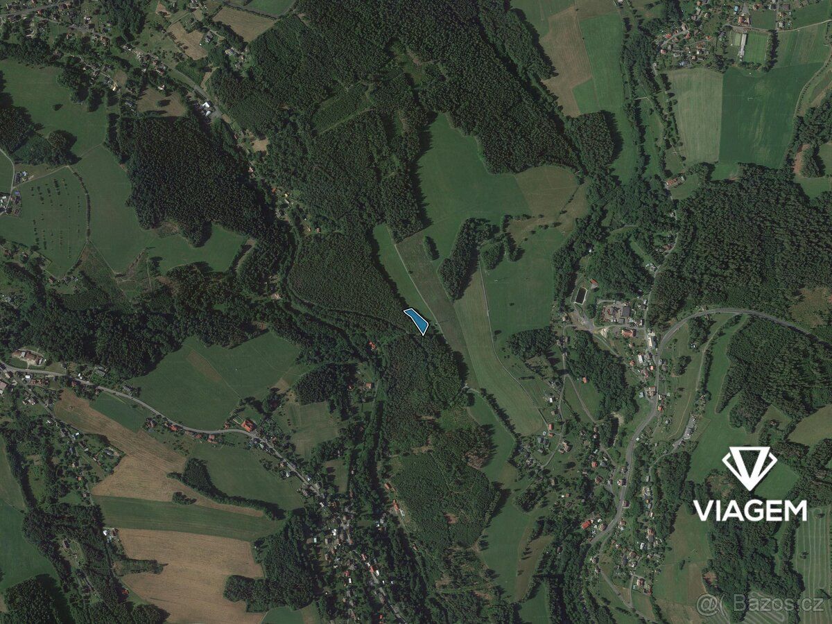 Nabízíme lesní pozemky v katastrálním území Loužnice, okres 