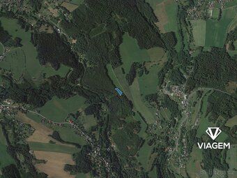 Nabízíme lesní pozemky v katastrálním území Loužnice, okres 