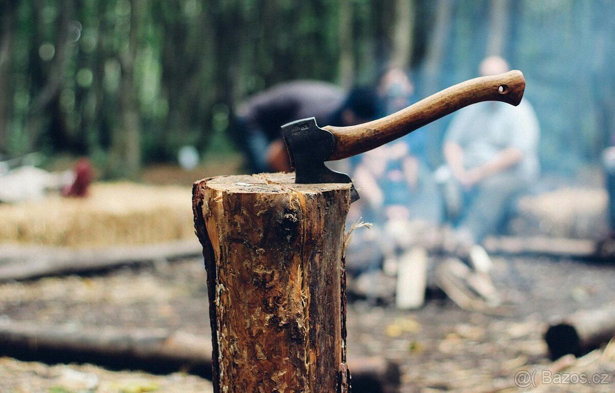 Hledáte ideální lesní pozemek v okrese Nový Jičín? Chcete mí