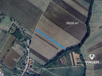 Hledáte ideální investici do budoucnosti? Chcete zajistit st