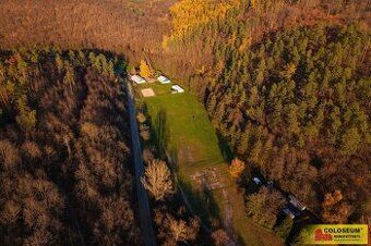 Hledáte ideální investici do budoucnosti? Co takhle pořízení