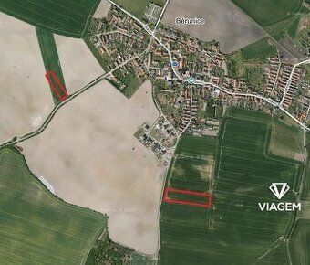 Nabízíme Vám ke koupi pozemek v katastrálním území Běrunice,