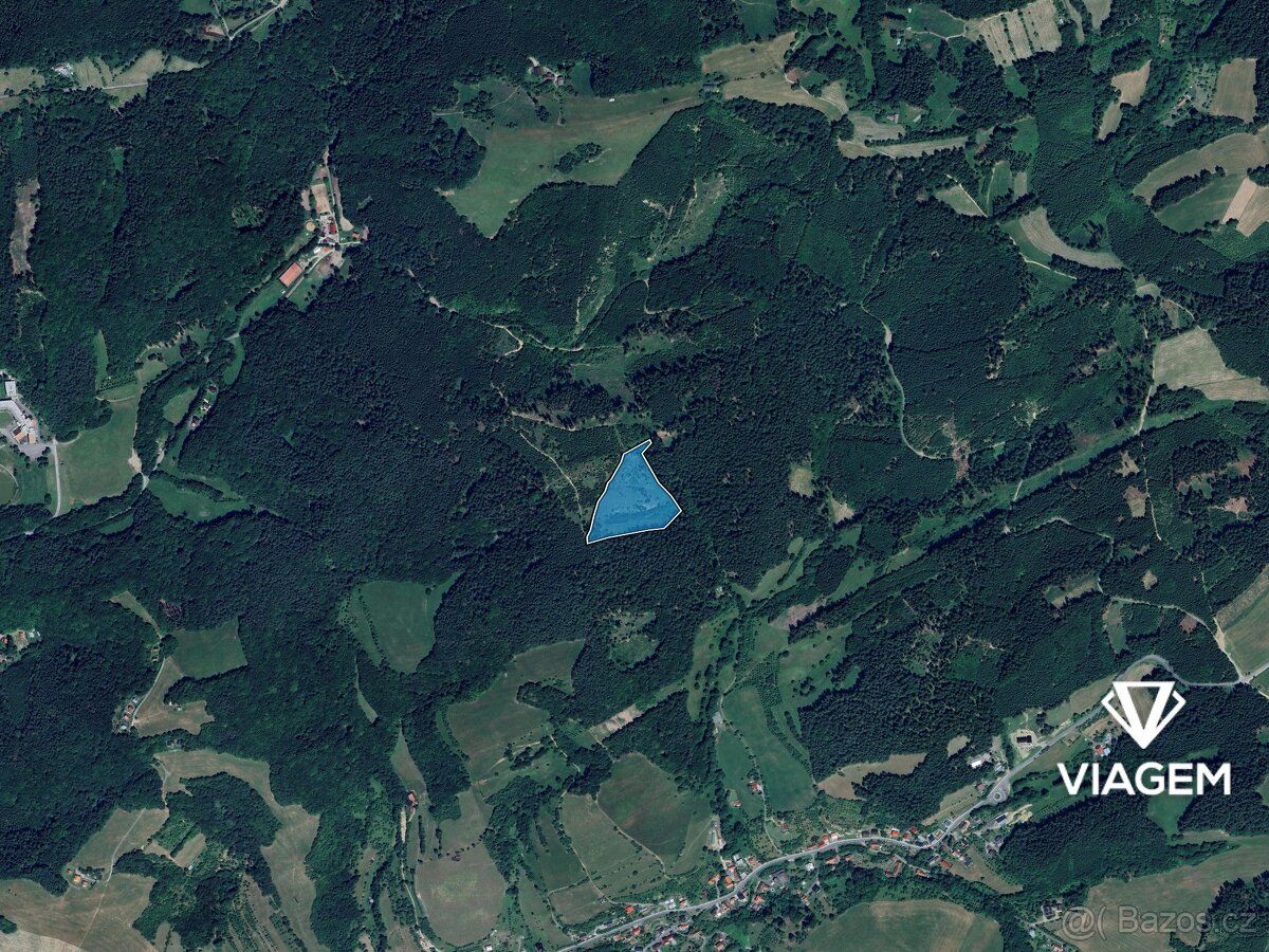 Láka Vás mít svůj vlastní les? Chcete mít 100% vlastnictví b