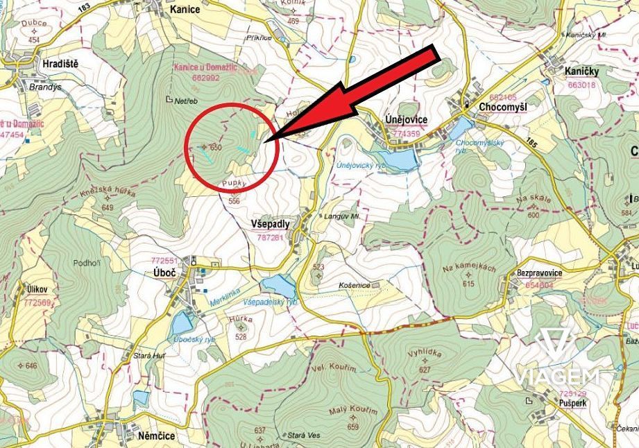 Hledáte ideální investici do lesního pozemku? Nepropásněte t