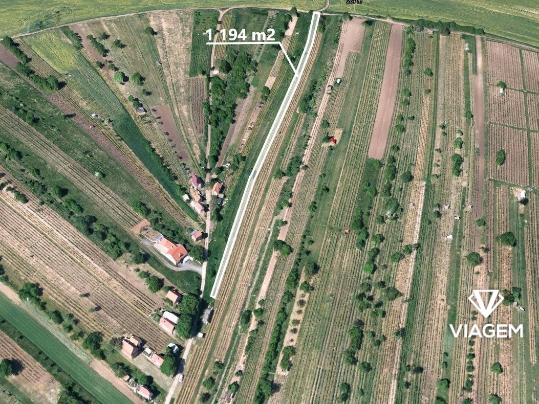 Exkluzivně Vám nabízíme pozemky v katastrálním území Mutěnic