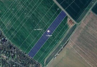 Hledáte investici, která vám zajistí stabilní příjem a ochra