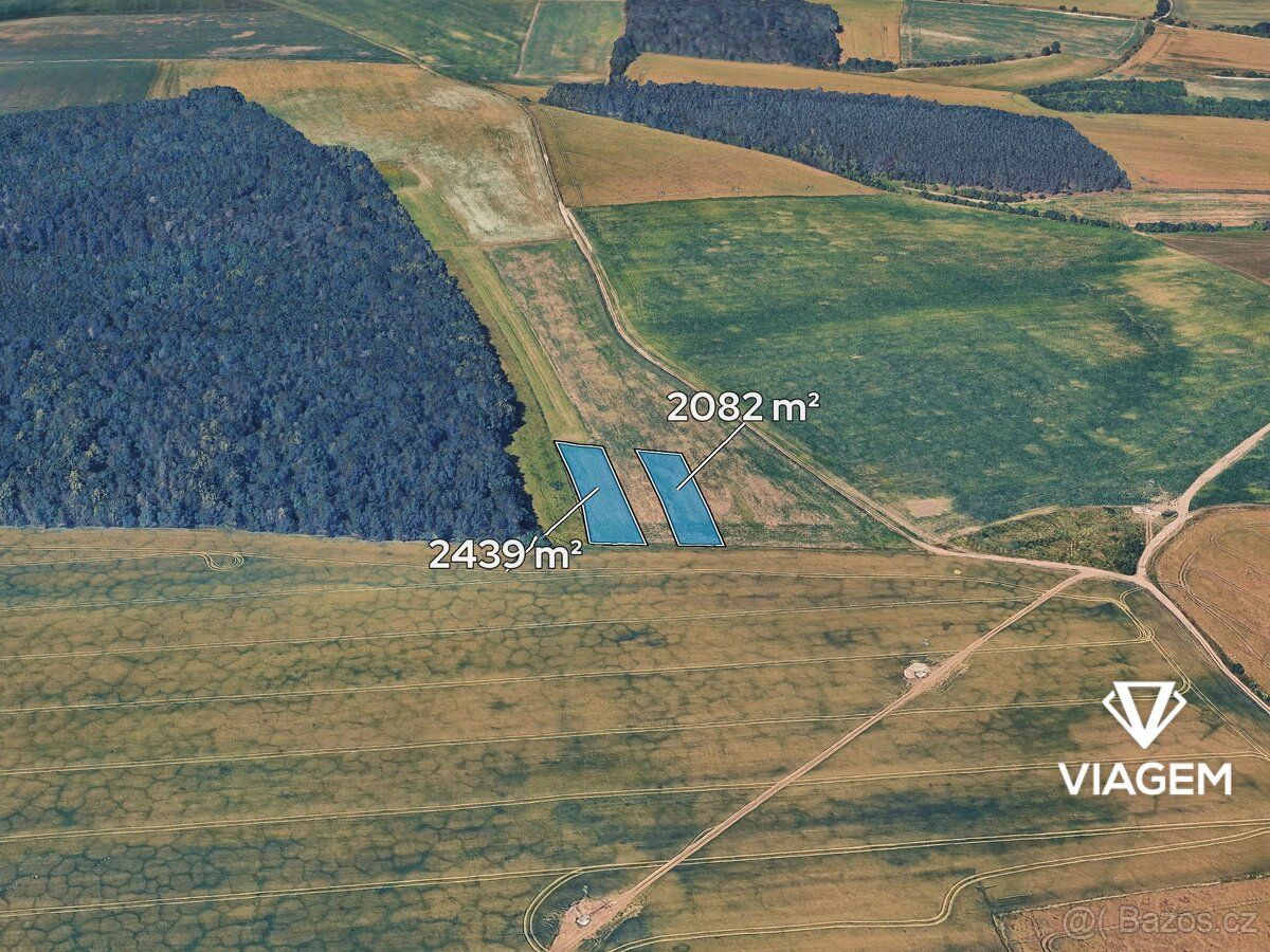 Hledáte ideální investici do budoucnosti? Co takhle pořízení