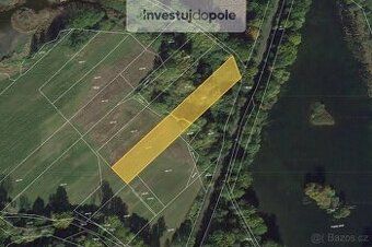Hledáte ideální investici do lesního pozemku? V okrese Tábor