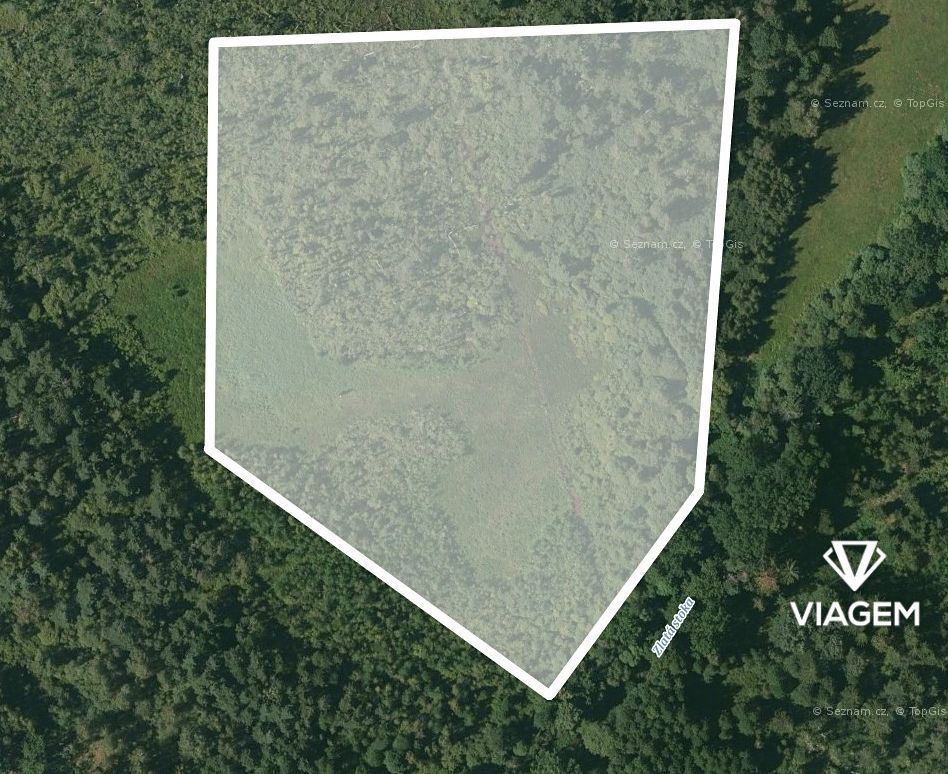 Hledáte ideální investici do lesního pozemku? V okrese Tábor